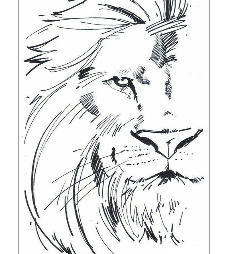 Leão Desenho Minimalista