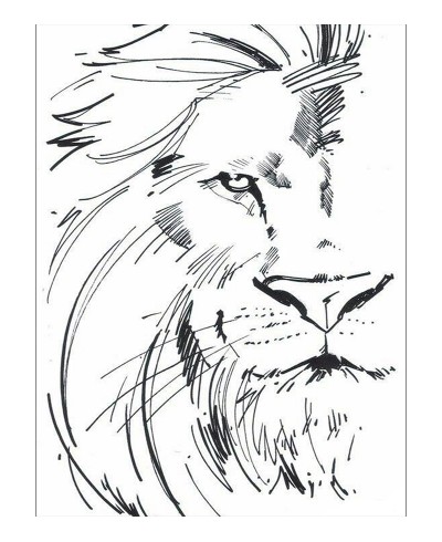 Leão Desenho Minimalista