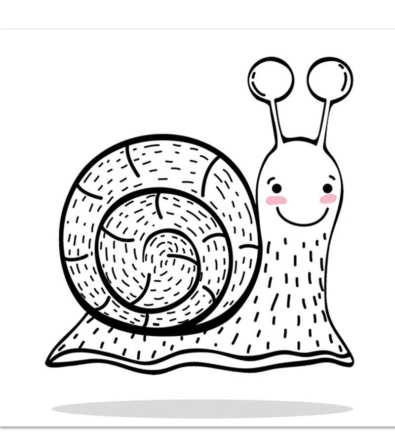 Caracol cute