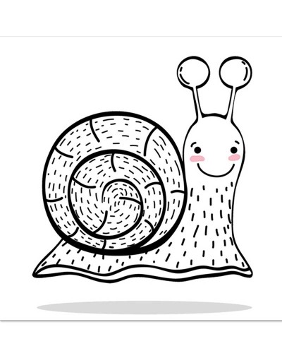 Caracol cute