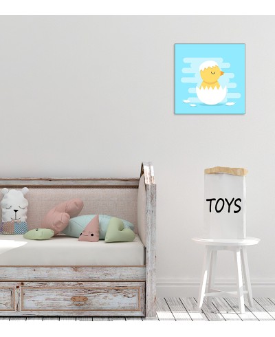 Quadro Bebê Pássaro