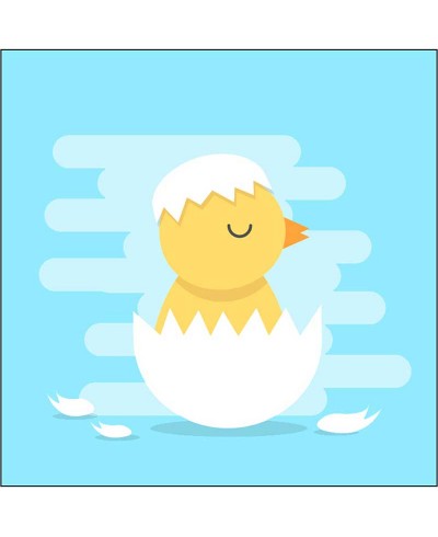 Quadro Bebê Pássaro