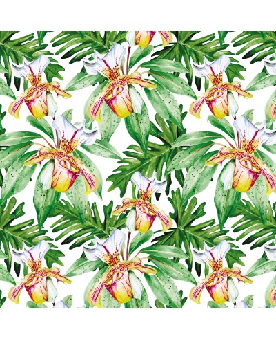 Papel de Parede Fotomural Orquídeas