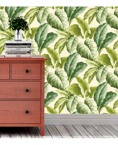 Papel de Parede Folhagem Tropical Folhas Verdes
