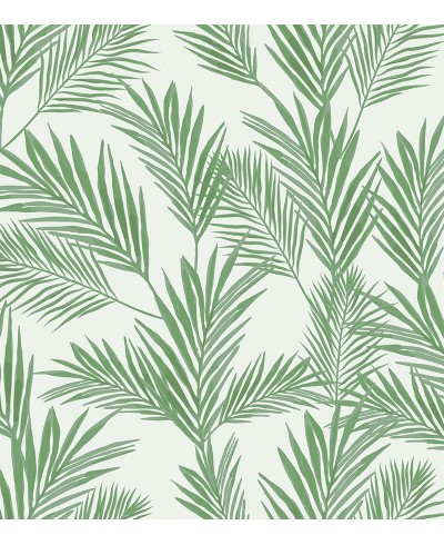 Papel de parede Campestre Palm