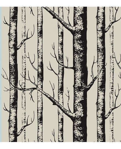 Papel de parede Benjamin Black