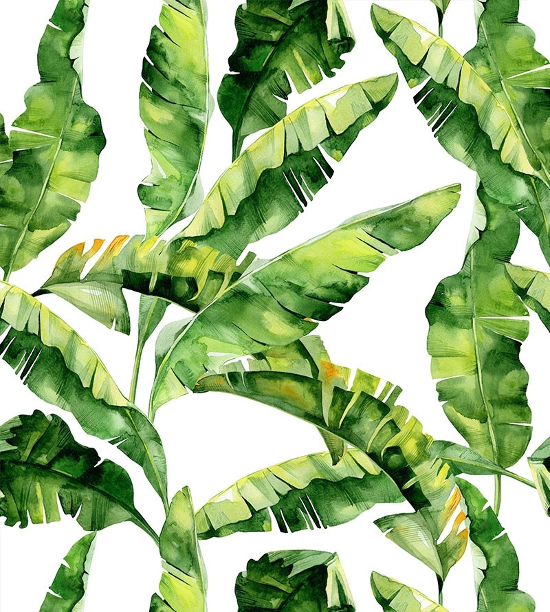 Papel de parede Campestre Folhagens tropicais