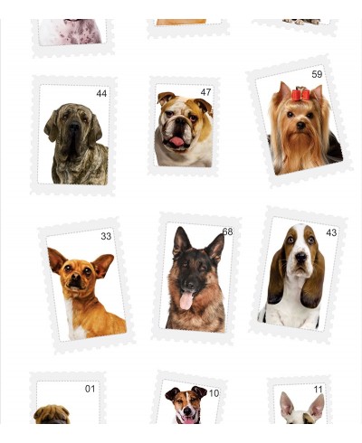 Papel De Parede Adesivo Retrato Canino