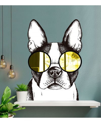 Foto Mural Decorativo de cachorro com óculos de acrílico