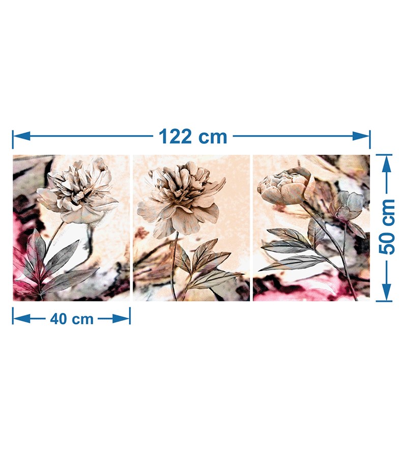 Quadros Decorativos Placas Flores Peônias