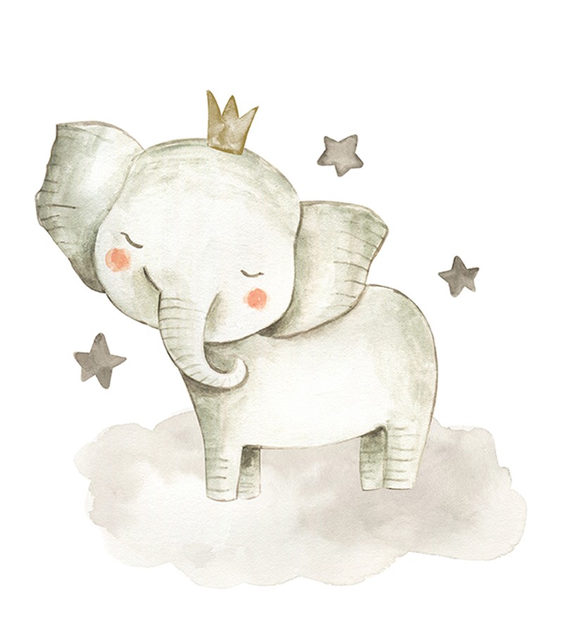 Kit com 4 Quadros Decorativo Safari Baby Aquarela