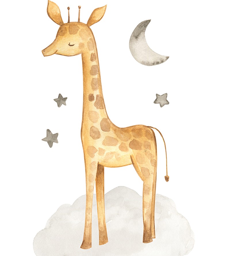 Kit com 4 Quadros Decorativo Safari Baby Aquarela