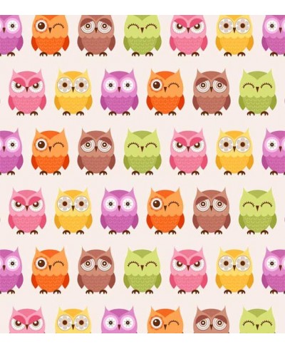 Papel de Parede com fundo na cor branca, com corujinhas em variadas cores e caras - Kids 01