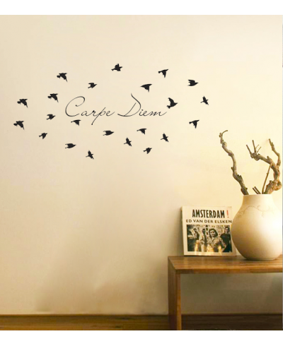 Adesivo de parede duas cores para sala Carpe Diem com passáros