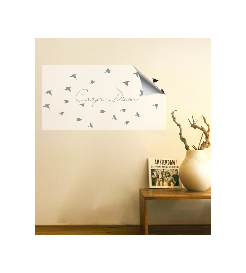 Adesivo de parede duas cores para sala Carpe Diem com passáros