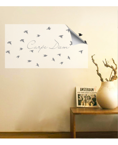 Adesivo de parede duas cores para sala Carpe Diem com passáros