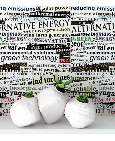 Papel de parede com fundo branco e escritas em preto, verde e vermelho - Jornal 13