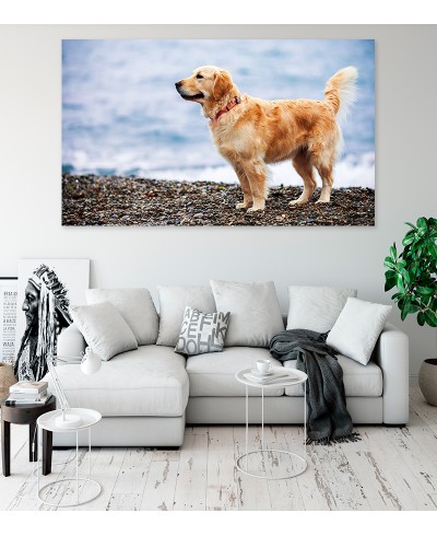 Painel Fotográfico Cachorro