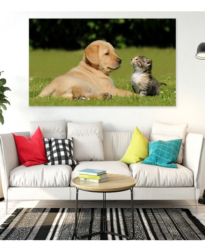 Painel Fotográfico Cão e Gato