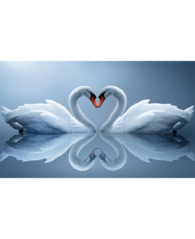 Painel Fotográfico Cisne Coração
