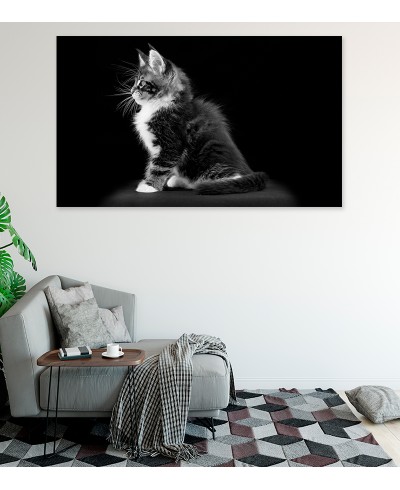 Painel Fotográfico Gatinho