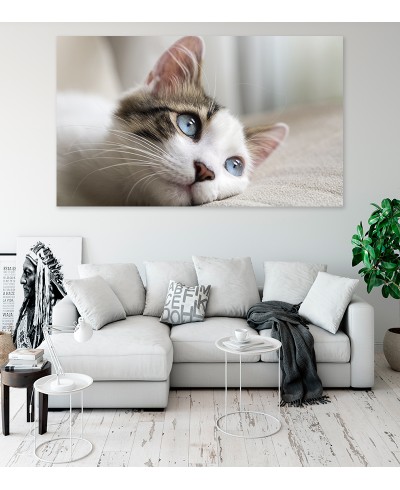 Painel Fotográfico Gato Fofinho