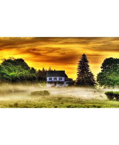 Painel Fotográfico Paisagem Casa na Floresta