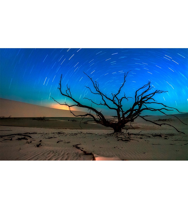 Painel Fotográfico Paisagem Deserto