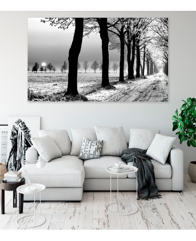 Painel Fotográfico Paisagem Gelo