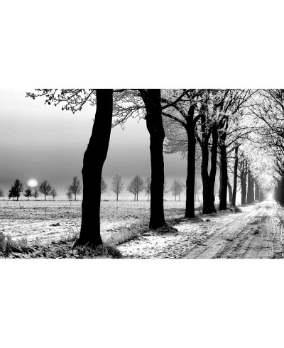 Painel Fotográfico Paisagem Gelo