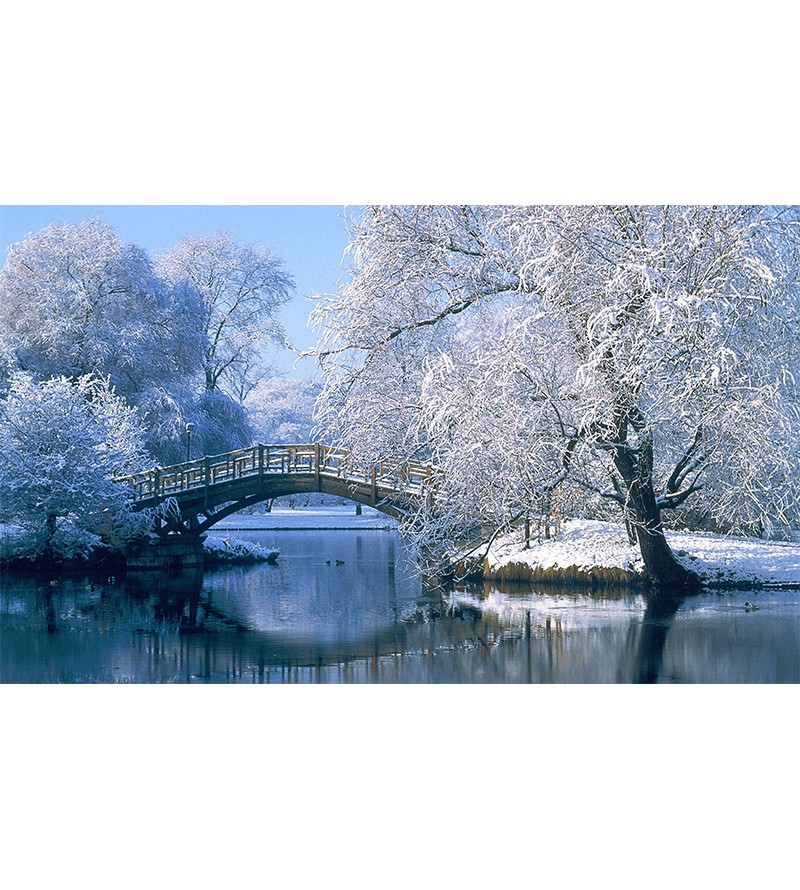 Painel Fotográfico Paisagem Ponte