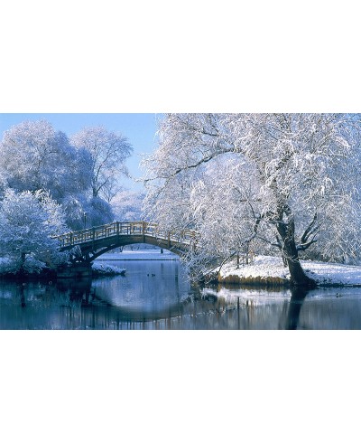 Painel Fotográfico Paisagem Ponte