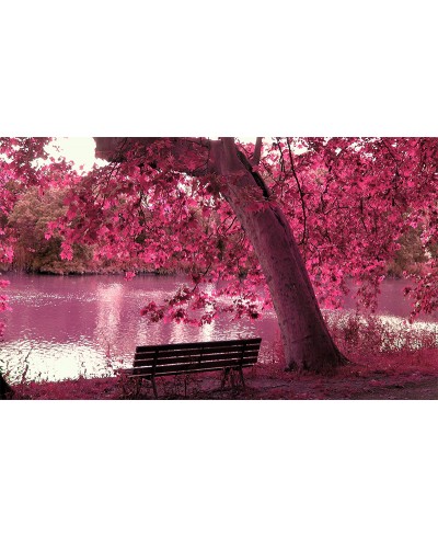 Painel Fotográfico Paisagem Lago