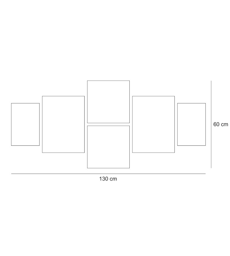 Quadros Compostos Modelo Rosto Leão Fogo