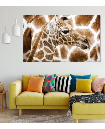 Painel Fotográfico Girafa