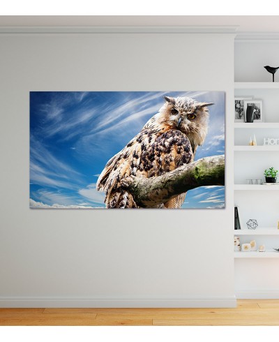 Painel Fotográfico Coruja